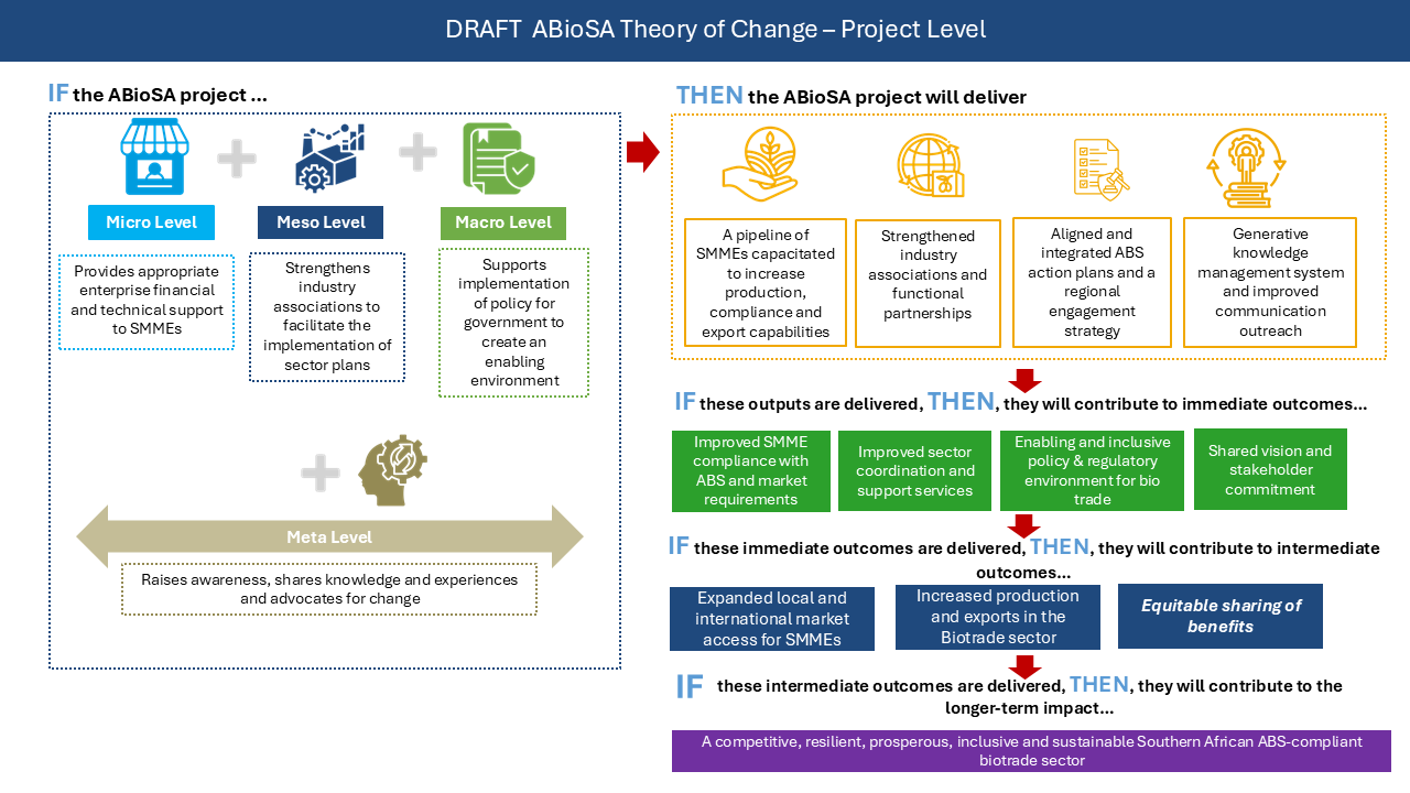 ABIOSA Phase III Theory of Change