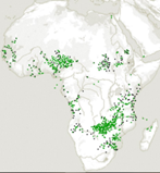 Baobab distribution in Africa